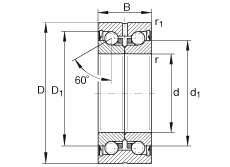 ǽ|S ZKLN1747-2RS, pɂ(c)ܷ